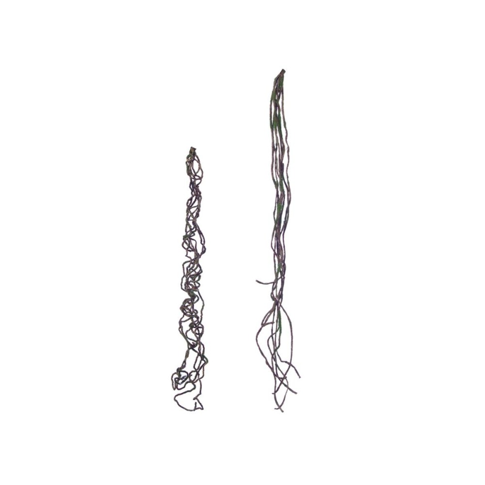 RADICE 68 CM. 2 ASSORTITI